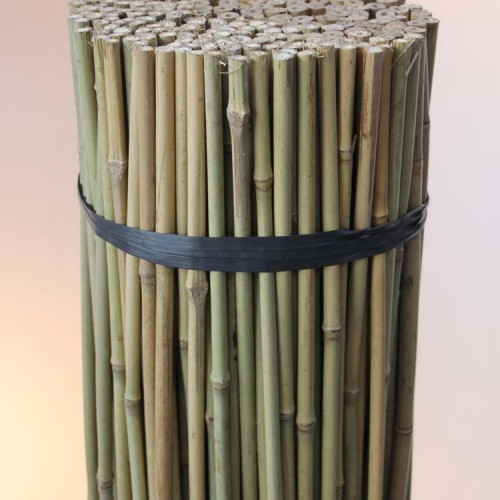 Thick bamboo canes